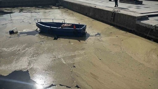Bandırma ve Gönen sahillerinde müsilaj yüzeye çıktı

