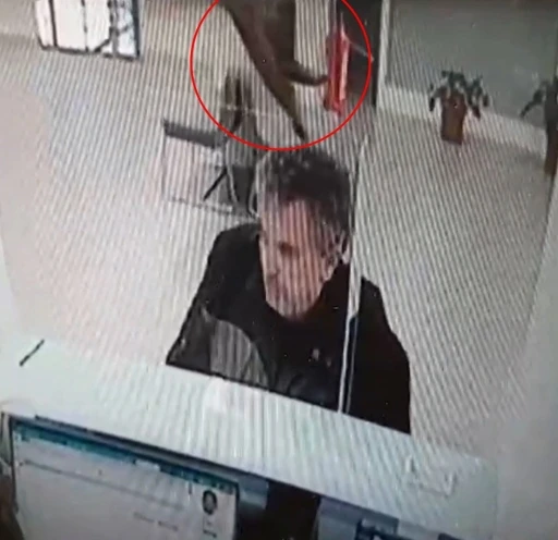 Bankada işlem yaparken &uuml;zerine kedi d&uuml;şt&uuml;

