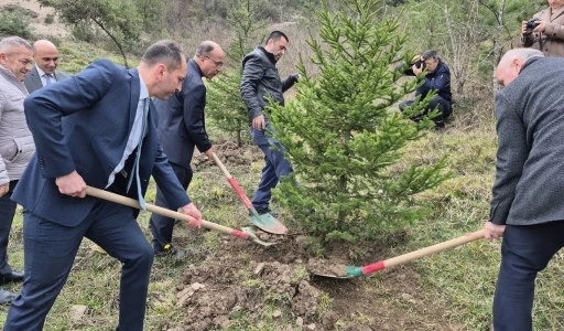 Bartın&rsquo;da h&uuml;k&uuml;ml&uuml;ler fidan dikti
