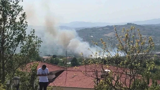 Bartın’da peş peşe yangınlar çıktı
