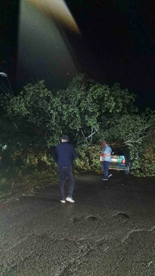 Bartın&rsquo;da şiddetli fırtına: ağa&ccedil;lar Otomobillerin &uuml;zerine devrildi
