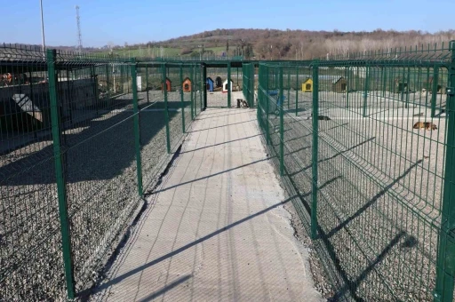 BAR&Uuml;&rsquo;de kamp&uuml;steki hayvanlar i&ccedil;in yaşam merkezi oluşturuldu
