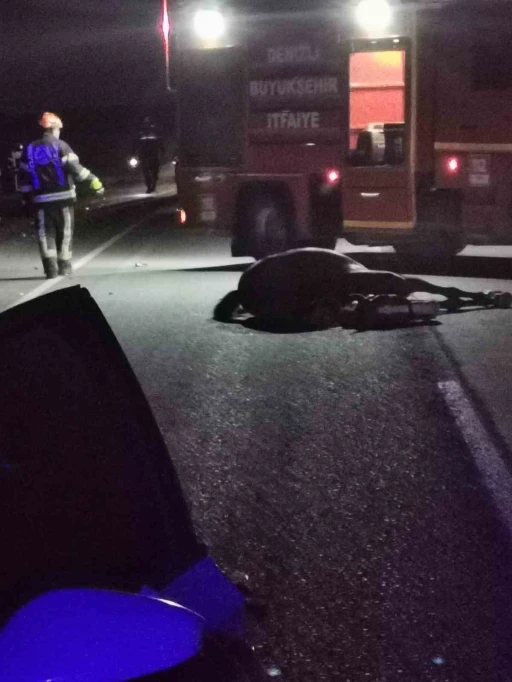Başıboş ata çarpan otomobil takla atarak hurdaya döndü: 1 ölü 1 yaralı
