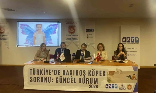 Başıboş k&ouml;pek mağdurları panelde buluştu

