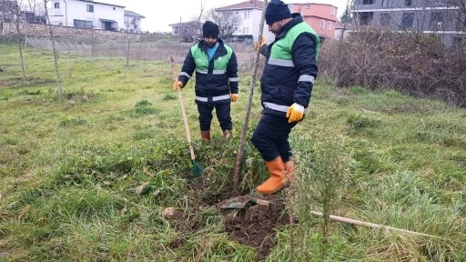 Başiskele&rsquo;de yeşil alan &ccedil;alışmaları devam ediyor
