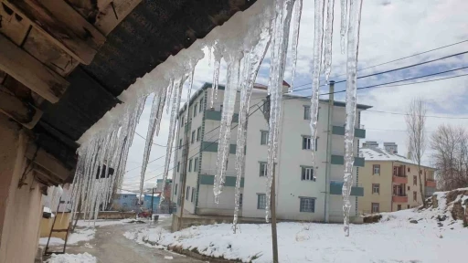 Başkale baharda dondu
