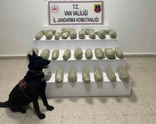 Başkale&rsquo;de 21 kilo 350 gram skunk ele ge&ccedil;irildi
