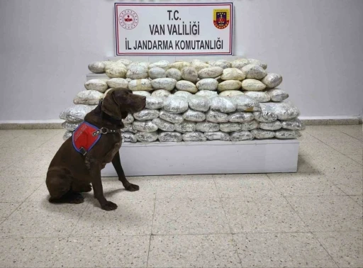 Başkale’de 60 kilo uyuşturucu ele geçirildi
