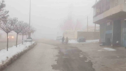 Başkale’de sis etkili oldu
