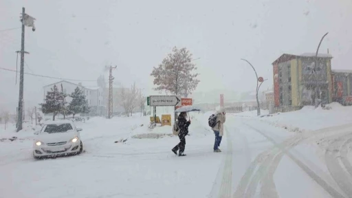 Başkale&rsquo;de yoğun kar yağışı
