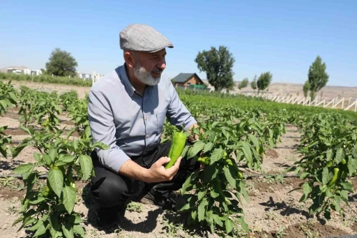 Başkan Çolakbayrakdar: Ata tohumlarımızı yaşatıyor, geleceğe taşıyoruz&quot;
