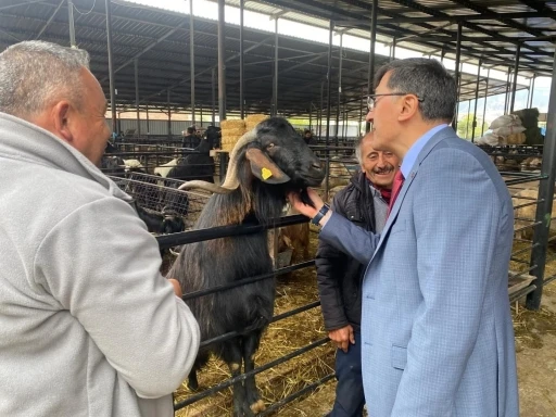 Başkan Ey&uuml;p Kahveci&rsquo;den Kurban Pazarı ziyareti
