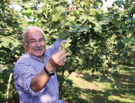 Başkan Güler’den Ferrero’ya karşı tarihi fındık mücadelesi: &quot;Bu bir milli duruştur&quot;
