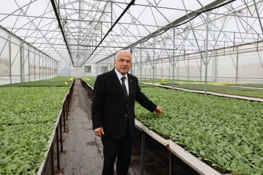 Başkan Güler: &quot;5 yılda kendi ürettiğimiz 4 milyon adet fideyi üreticilerimize dağıttık&quot;
