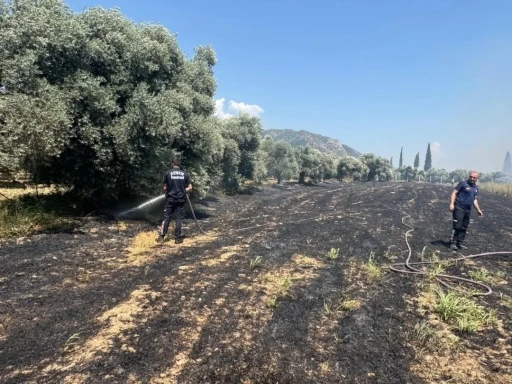 Başkan Kaya’dan yangın uyarısı: &quot;Açık alanlarda ateş yakmayın&quot;
