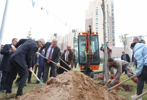 Başkan Palancıoğlu’nun yeşil projesi: “Melikgazi’de fidan değil: ağaç dikiyoruz”
