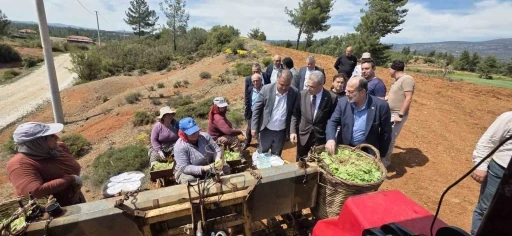 Başkan Pütün, Genel Başkan Yardımcısı Osmanağaoğlu ile birlikte Beyağaçlı çiftçilerle buluştu
