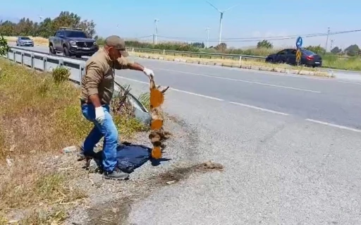 Başkan Sürücü: &quot;Çok nadir ve önemli bir türü daha kaybettik&quot;
