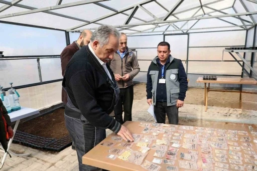 Başkan Yalçın tulumu çekti, tohumları toprakla buluşturdu

