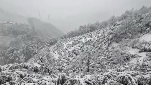 Batı Karadeniz’de kuvvetli yağış uyarısı
