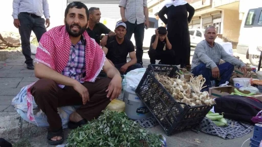 Batman&rsquo;da doğal şifa mesaisi: Bah&ccedil;elerden toplanan semizotu hem sağlık hem ge&ccedil;im kaynağı oldu
