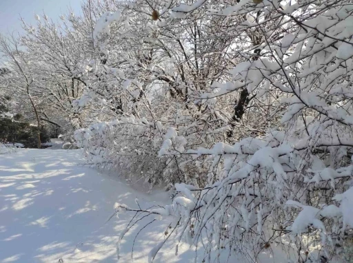Batman&rsquo;da kar manzaraları
