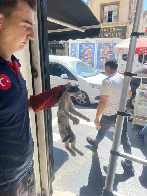 Batman’da platform arasında sıkışan kedi kurtarıldı
