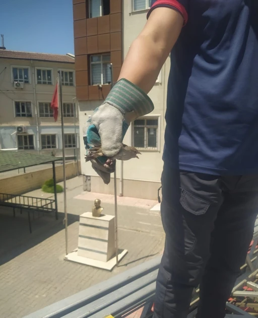 Batman’da tellere takılan kuşu itfaiye ekipleri kurtardı
