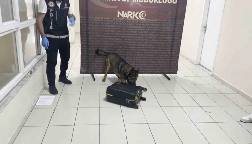 Batman’da uyuşturucu dolu valiz &quot;Hektor&quot;a takıldı
