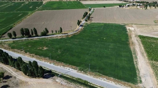Battalgazi’de yerli üretimle yeşil alan seferberliği
