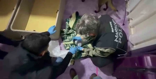 Battaniyeye zulalanan uyuşturucuyu narkotik k&ouml;peği buldu
