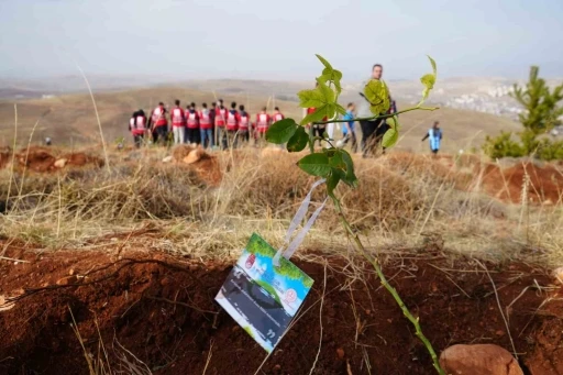 Bayburt’ta 97 bin 620 fidan toprakla buluşturuldu
