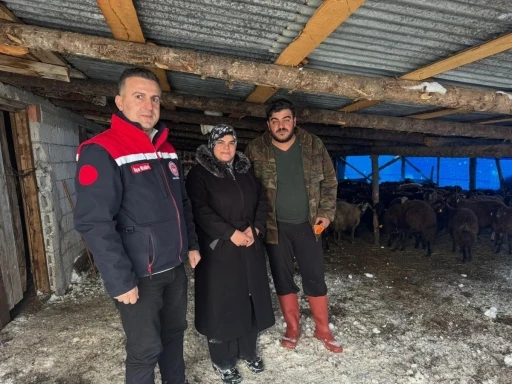 Bayburt&rsquo;ta hayvancılığa yeni başlayan &uuml;reticilere destekler s&uuml;r&uuml;yor
