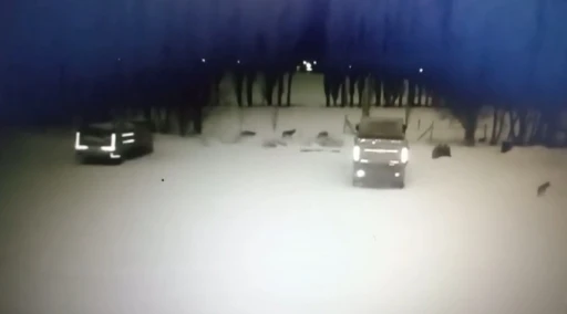 Bayburt’ta kurt sürüsü köpeği telef etti
