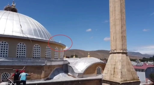 Bayburt&rsquo;ta yuvasına d&ouml;nemeyen yavru leylek ekipleri harekete ge&ccedil;irdi
