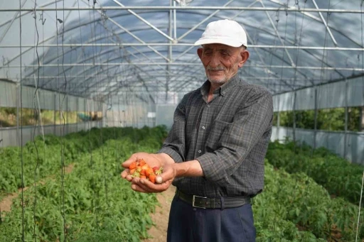 Bayburtlu çiftçinin yıkılan serası devlet eliyle yeniden ayağa kaldırıldı
