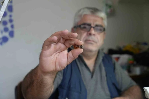 Bayburtlu kehribar ustası işlediği taşta milyonlarca yıllık b&ouml;cek fosili buldu
