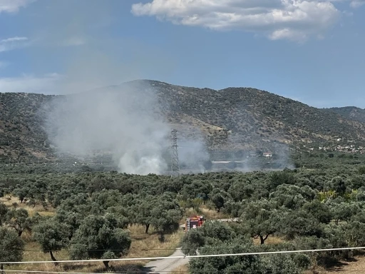 Bayındır&rsquo;da zeytinlik alanda yangın

