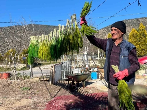 Bayındır nergis kokacak: Nergis ve Kuru &Ccedil;i&ccedil;ek Festivali başlıyor
