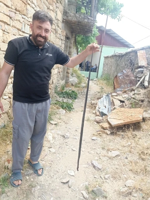 Baykan&rsquo;da yılan paniği
