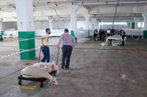 Bayram huzuru Tepebaşı’nda

