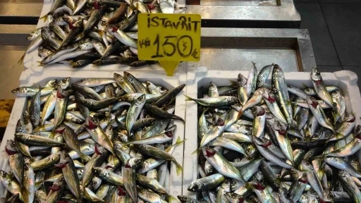 Bayram &ouml;ncesi balık tezgahlarında bolluk

