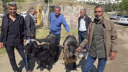 Bayram &ouml;ncesi hayvan pazarına ilgi arttı
