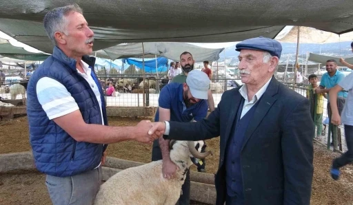 Bayram yaklaştı, kurban pazarında kıran kırana pazarlık başladı
