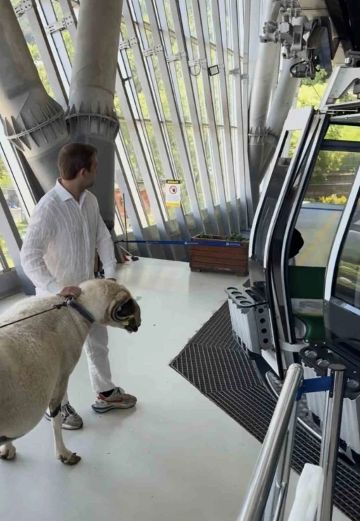 Bayramda keseceği ko&ccedil;la teleferik keyfi yaptı
