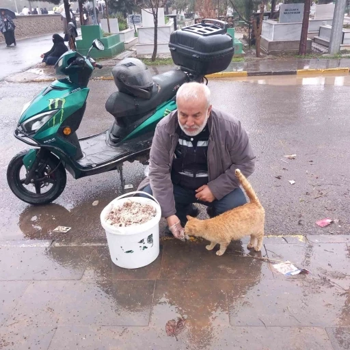 Bayramda sokak hayvanlarını unutmadı
