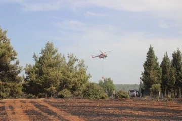 Bayramiç’teki yangın kontrol altına alındı
