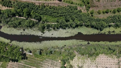 Bayramın en g&ouml;zde adresleri Acarlar Longozu ve İl Ormanı oldu

