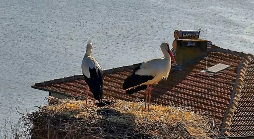 Beklenen buluşma ger&ccedil;ekleşti
