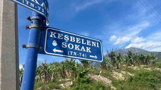 Belediye &ccedil;alışanlarından &ouml;rnek davranış: &Ccedil;&ouml;p konteynerinde &ouml;l&uuml;me terk edilen kaplumbağayı kurtardılar
